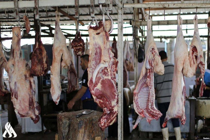 وكالة الأنباء العراقيةالزراعة: تنفيذ 250 حملة تفتيشية للحد من حالات الجزر العشوائي للماشية