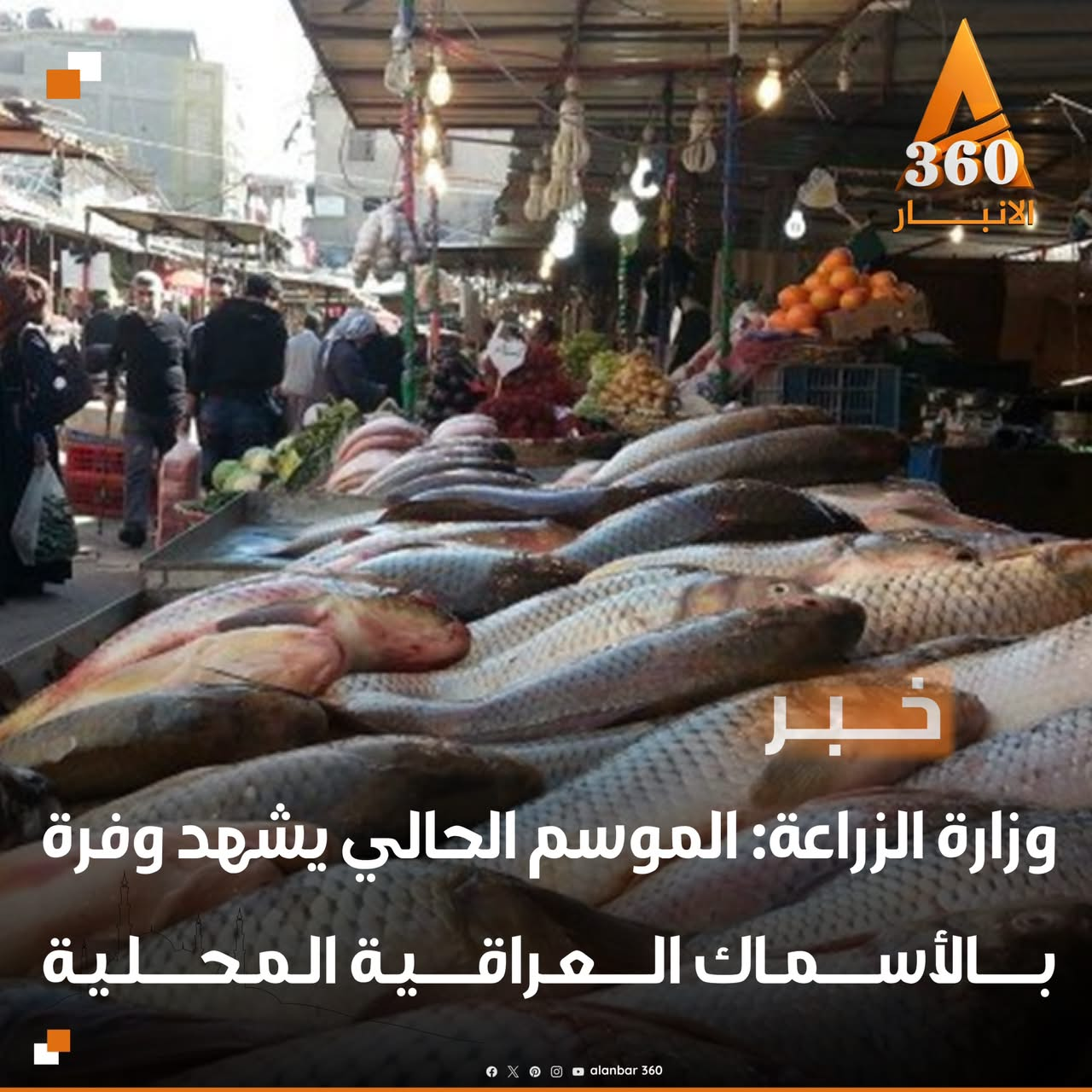 وزارة الزراعة : الموسم الحالي سيهد وفرة بالاسماك المحلية