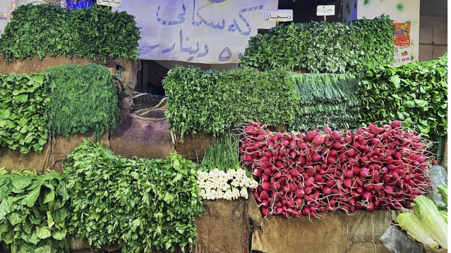 إقليم كوردستان يحقق الاكتفاء الذاتي من الخضروات ويُسوّق أكثر من مليون طن سنوياً لوسط وجنوب العراق